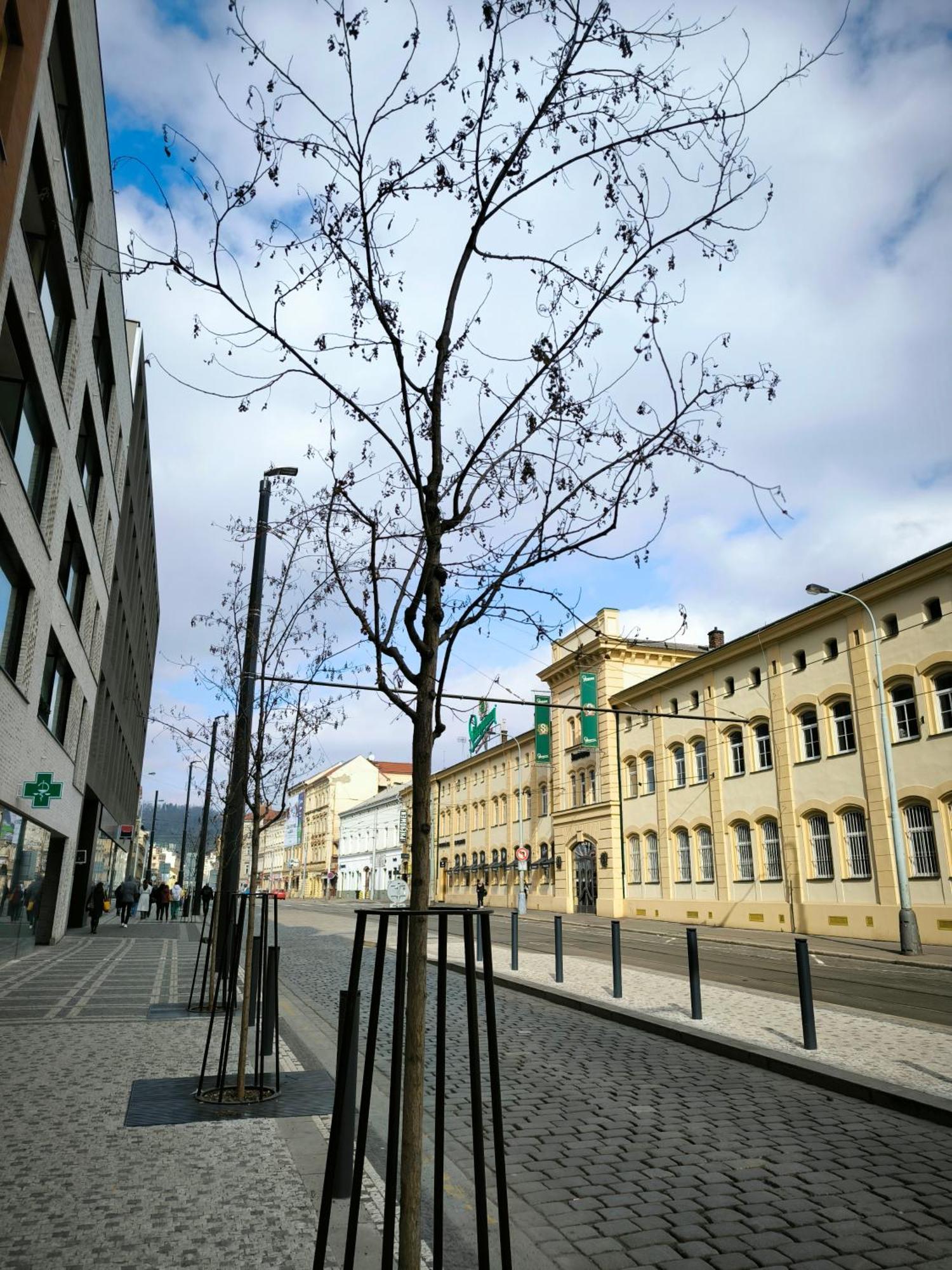프라하 Valentinka Minutes Away From Charles Bridge 아파트 외부 사진